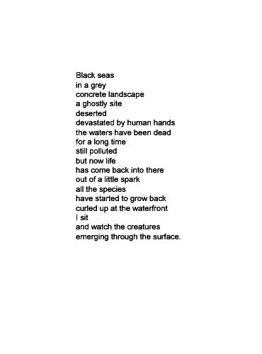 Black seas